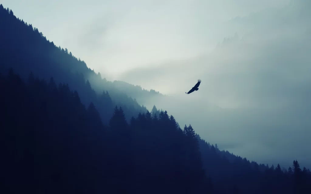 Misty Mountain Forest Silhouette Bird Flight