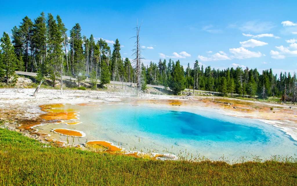 Natural Hot Spring Geothermal Activity Forest Road Blue Sky