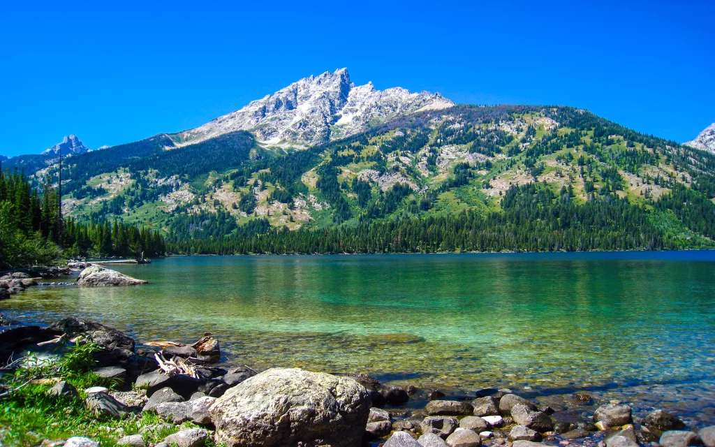 Mountain Lake Clear Water Forest Rocky Shoreline