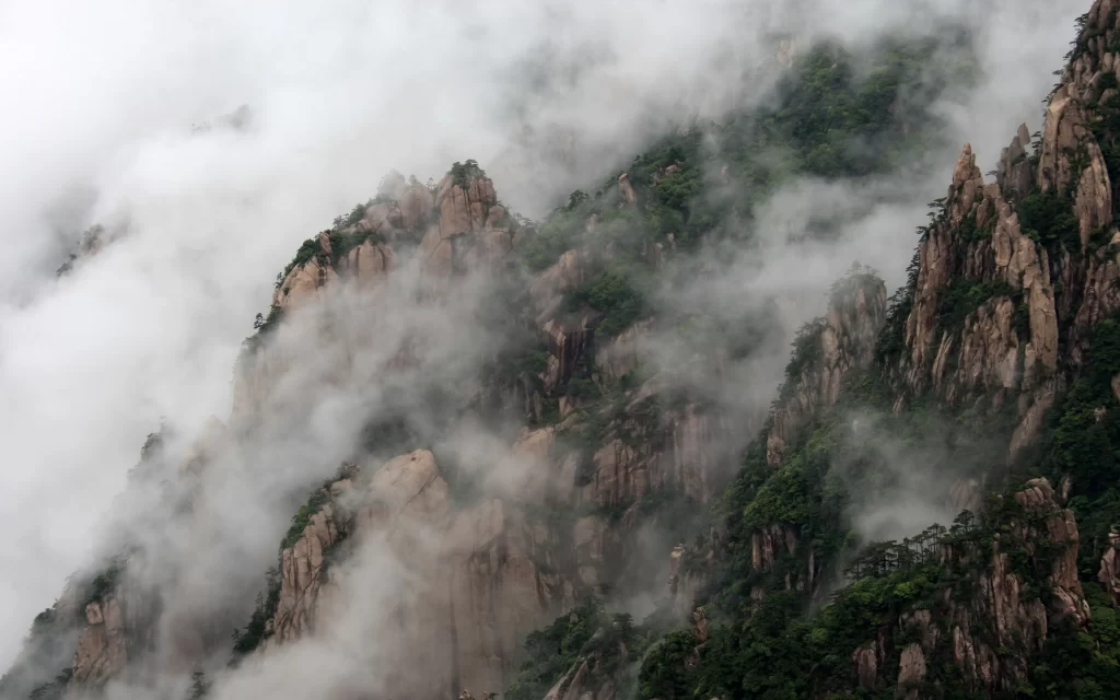 Mountain Peaks Misty Clouds Dense Forest Majestic