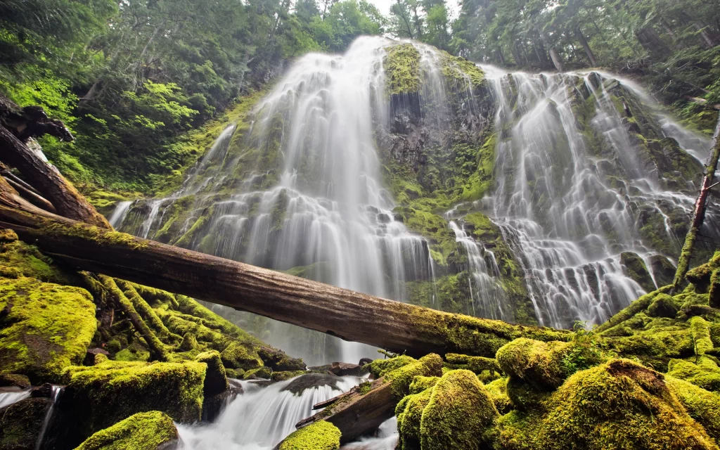 Waterfall Mossy Rocks Forest Greenery Nature