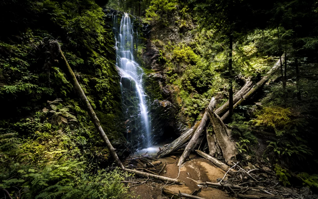 Waterfall Lush Greenery Mossy Rocks Sunlight Forest