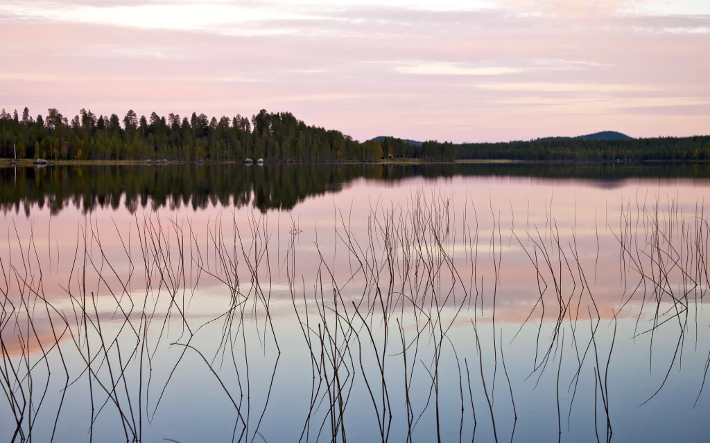 Sunset Calm Lake Reflections Trees Silhouettes