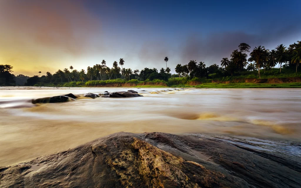 Sunset River Rocks Flowing Water Palm Trees