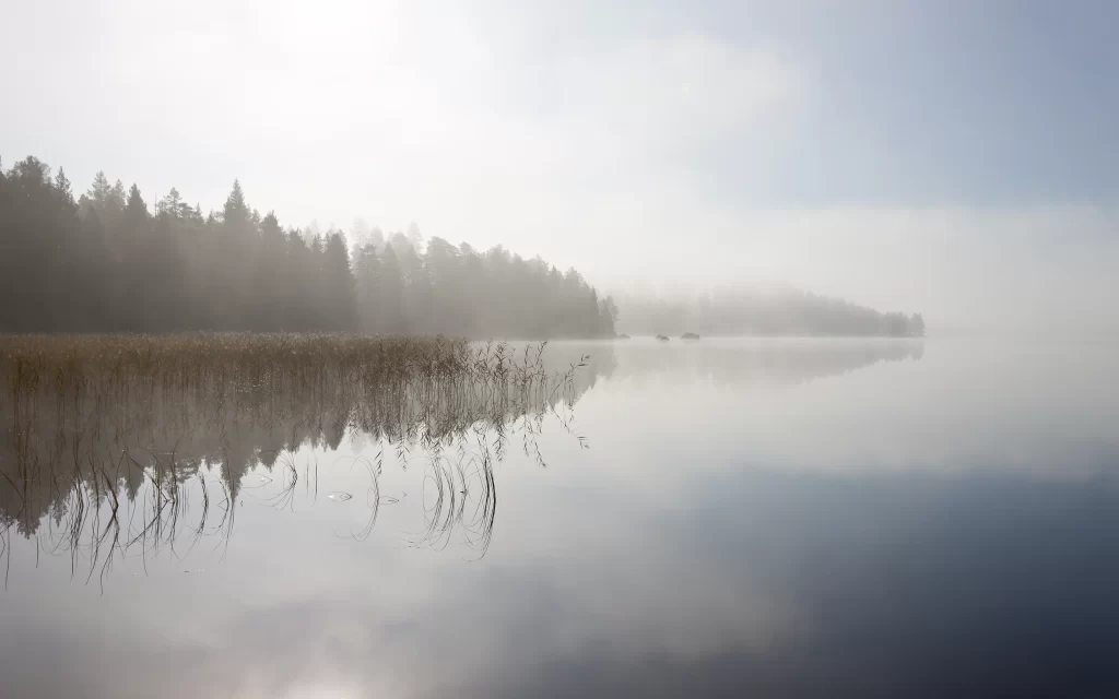 Misty Lake Reflections Trees Calm Water