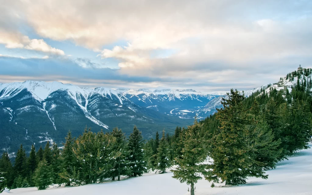 Snowy Mountains Pine Trees Clouds Valley