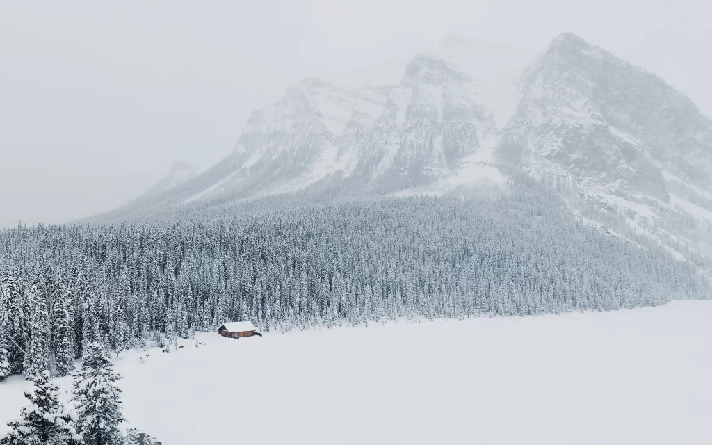 Snowy Mountain Pine Trees Cabin Winter Landscape