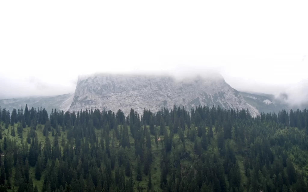 Mountain Forest Mist Clouds Nature