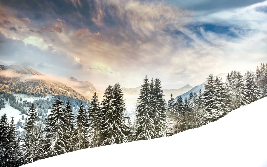 Snowy Mountains Pine Trees Clouds Sunlight