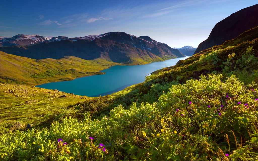 Mountain Lake Greenery Flowers Clear Sky