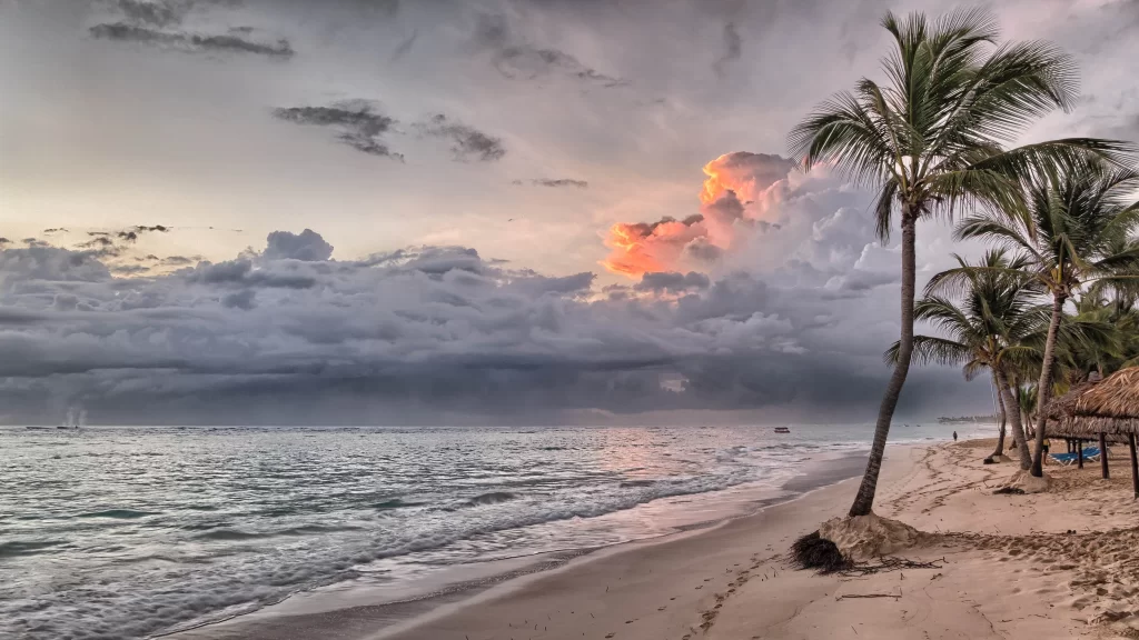 Sunset Clouds Ocean Waves Beach Palm Trees