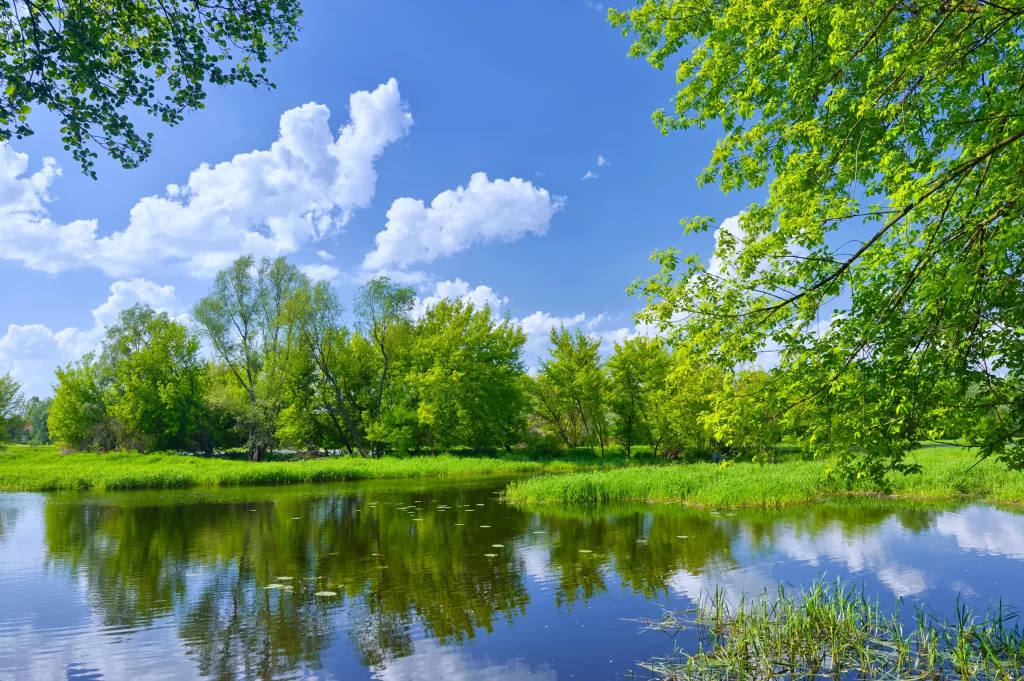 Blue Sky White Clouds Green Trees Reflective Water