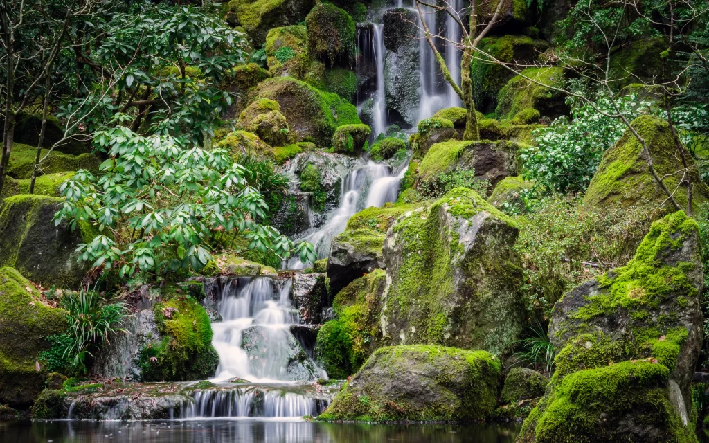 Mossy Rocks Waterfall Lush Greenery Nature Tranquility