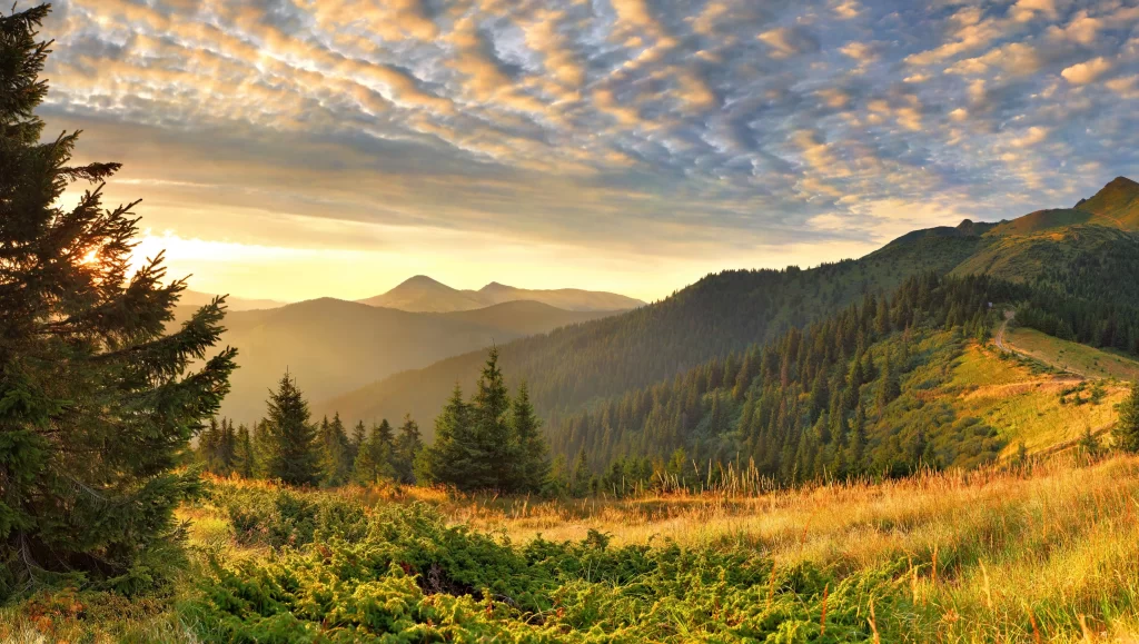 Sunset Mountain Forest Path Clouds