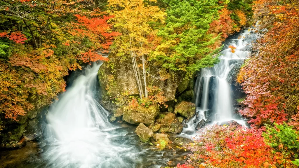 waterfall autumn leaves forest nature scenic
