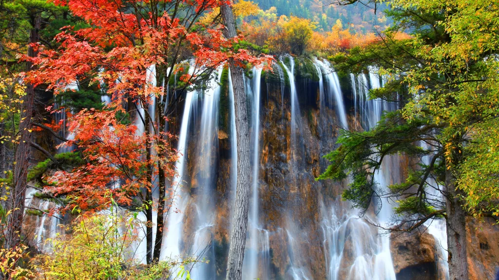 waterfall autumn leaves nature scenic beauty