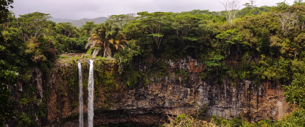 waterfall, lush, greenery, cliff, nature, serene