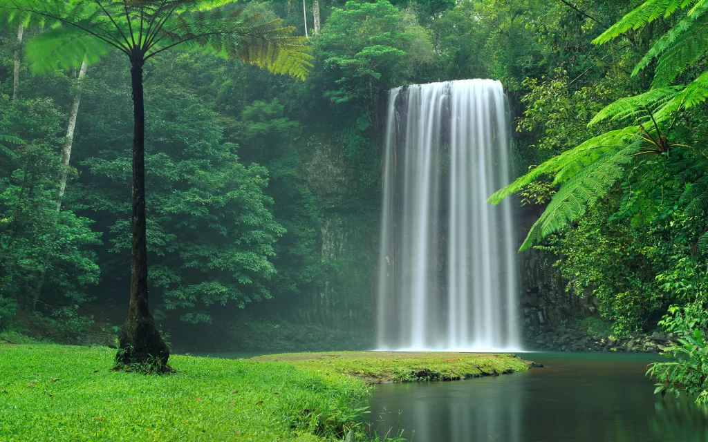 waterfall nature green forest tranquility serene