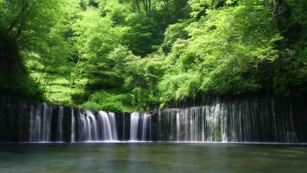 waterfall nature greenery forest tranquility serene landscape beauty