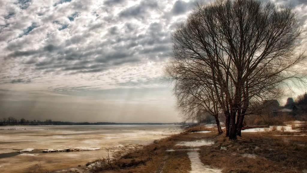 winter landscape snow clouds tree