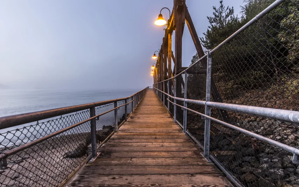 wooden bridge metal railing street lamp foggy water trees