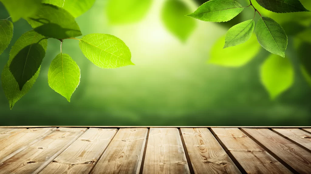 wooden floor, green leaves, sunlight, nature, serene, tranquil