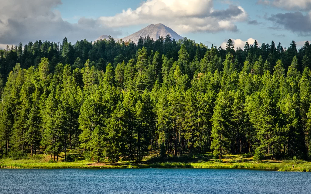 Lush Forest Mountain Lake Blue Sky Clouds