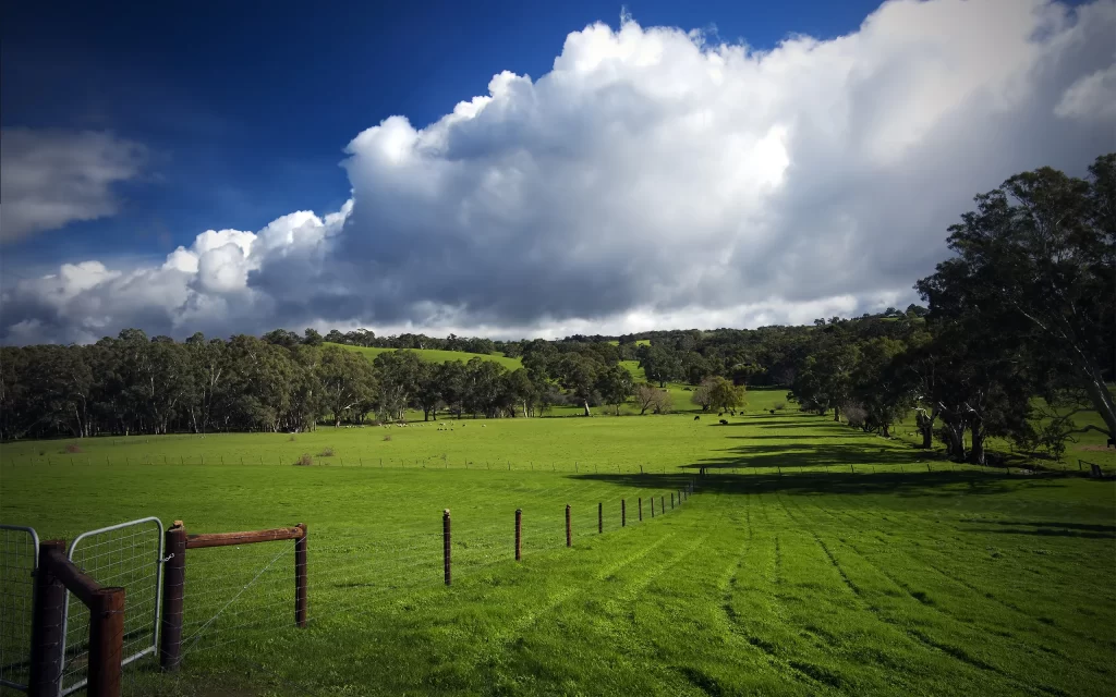 Lush Green Field Rolling Hills Blue Sky White Clouds Wooden Fence Trees