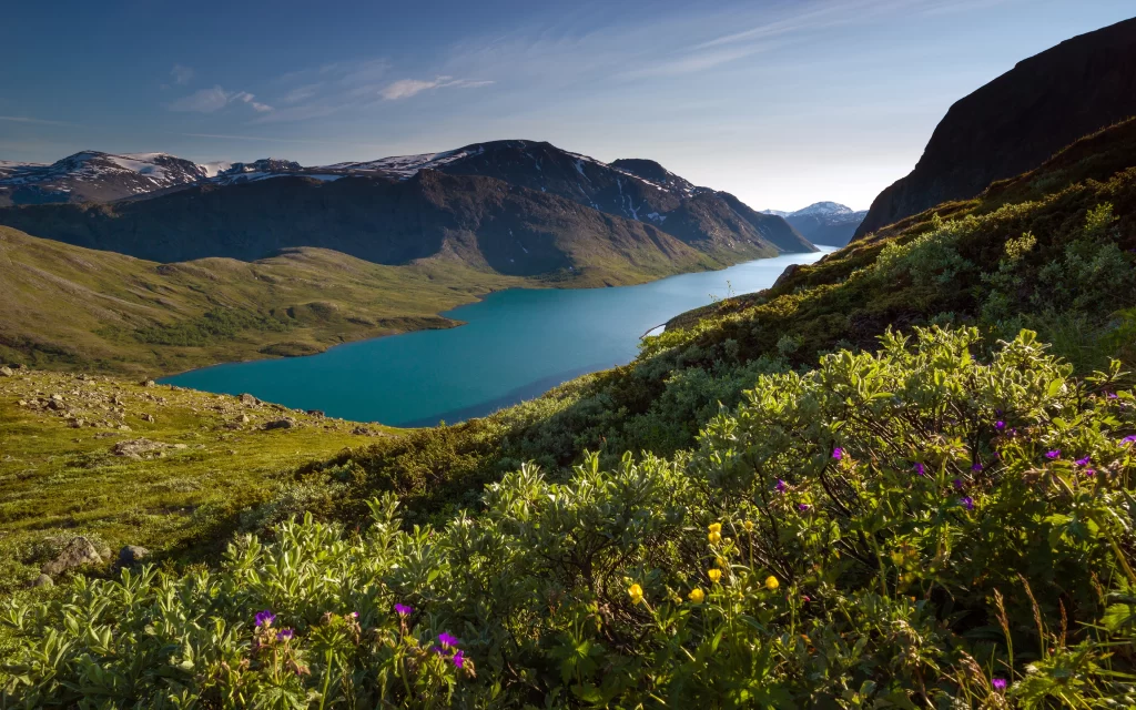 Lush Greenery Turquoise Lake Majestic Mountains Clear Sky Wildflowers Scenic Landscape