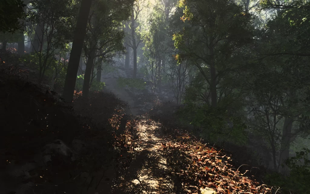 Misty Forest Path Sunlight Trees Autumn Leaves