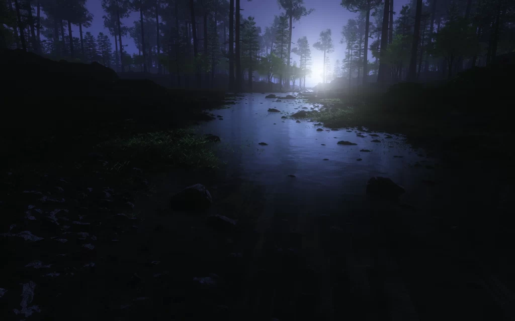 Moonlight Forest Stream Rocks Shadows