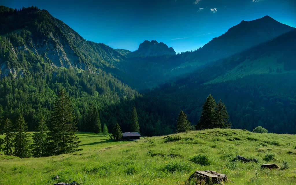 Mountain Forest Greenery Cabin Sunlight Nature