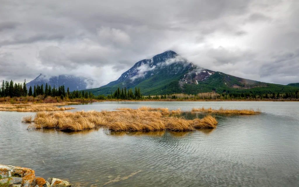 Mountain Lake Clouds Forest Grassland Scenery