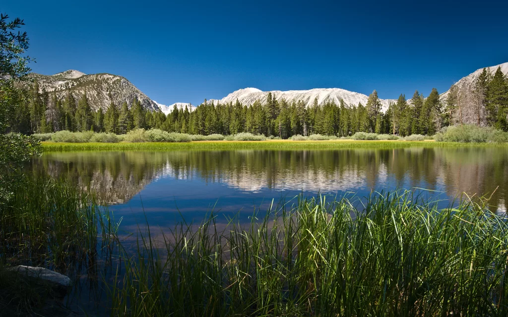 Mountain Lake Reflection Clear Sky Greenery Nature