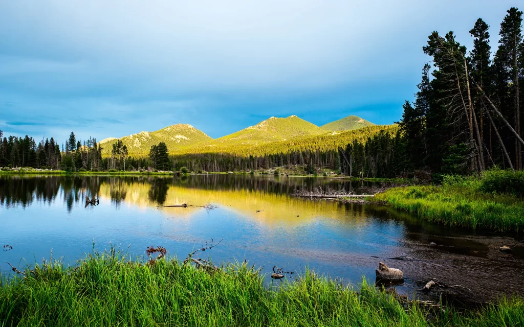 Mountain Lake Reflection Forest Greenery Nature