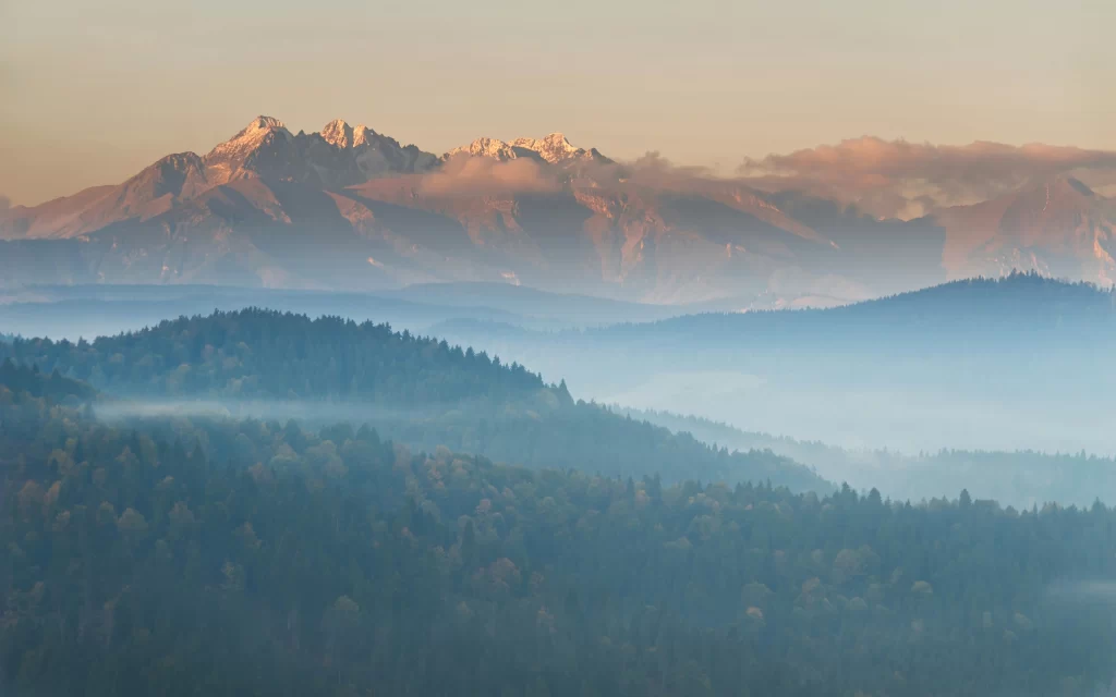 Mountain Peaks Forest Mist Sunrise Clouds