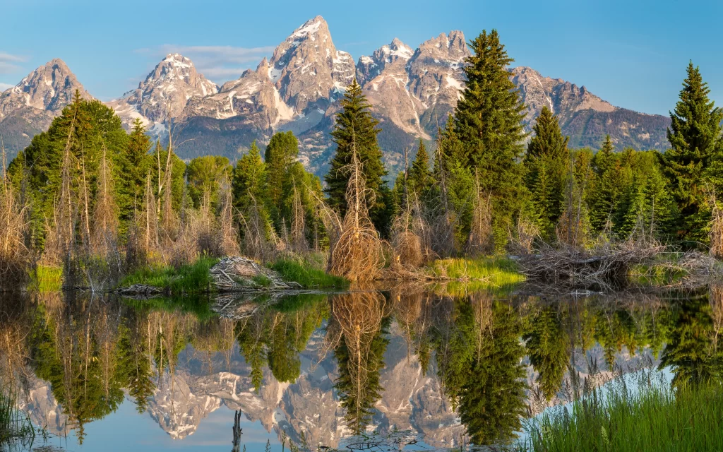 Mountain Peaks Forest Reflection Lake Clear Sky
