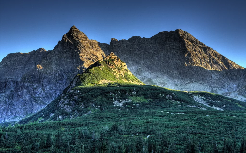 Mountain Peaks Sunlight Greenery Forest Clear Sky