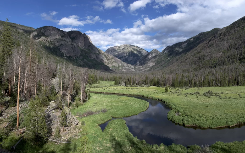 Mountain River Forest Valley Greenery Nature