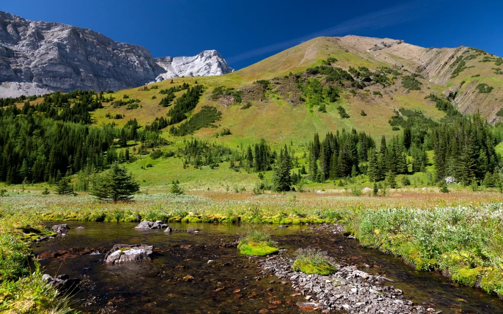 Mountainous Landscape Clear Stream Verdant Forest Rocky Terrain Blue Sky Natural Beauty