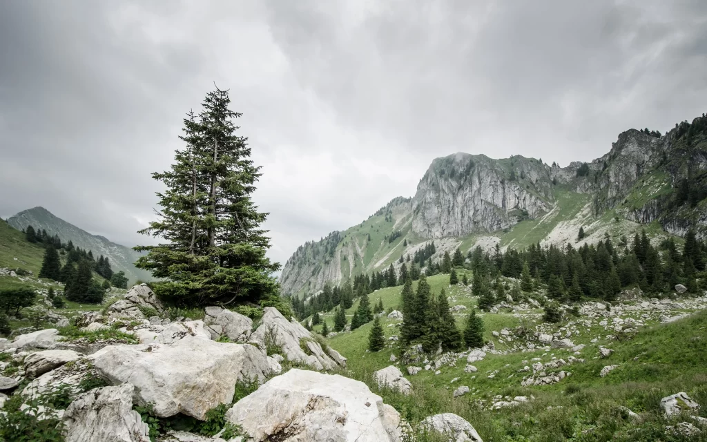 Mountainous Landscape Cloudy Sky Evergreen Trees Rocky Terrain Verdant Hills
