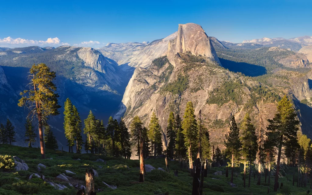 Mountainous Landscape Evergreen Trees Granite Peaks Clear Sky Sunlight Valley