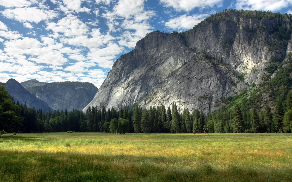 Mountainous Landscape Meadow Forest Sky Clouds