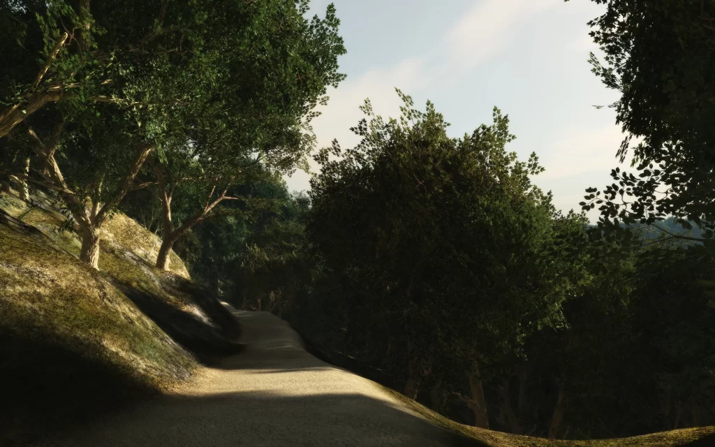 Pathway Trees Nature Sunlight Forest Shadows