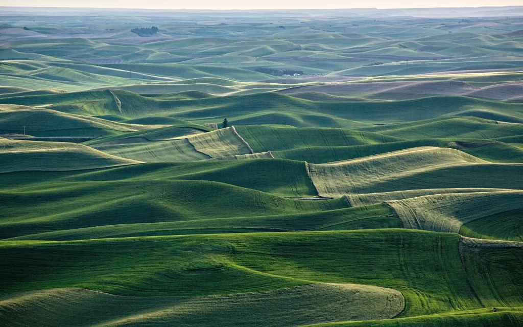 Rolling Hills Green Fields Landscape Agriculture Nature