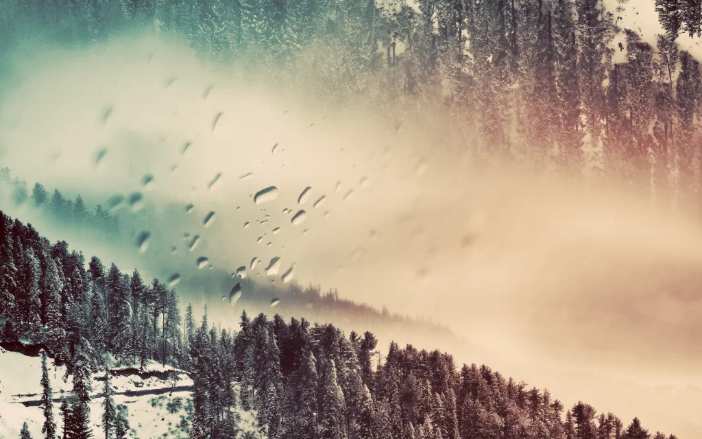 Snowy Forest Misty Landscape Winter Trees
