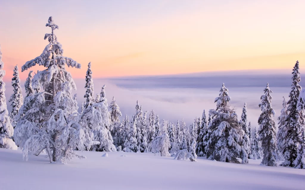 Snowy Forest Winter Sunrise Misty Sky