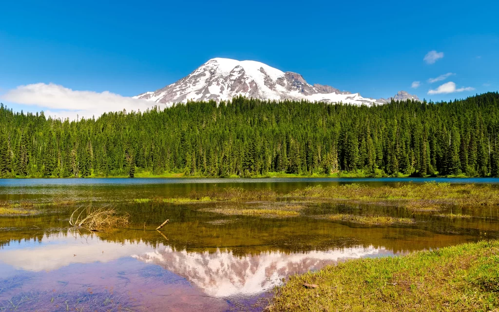 Snowy Mountain Forest Clear Lake Reflection Blue Sky