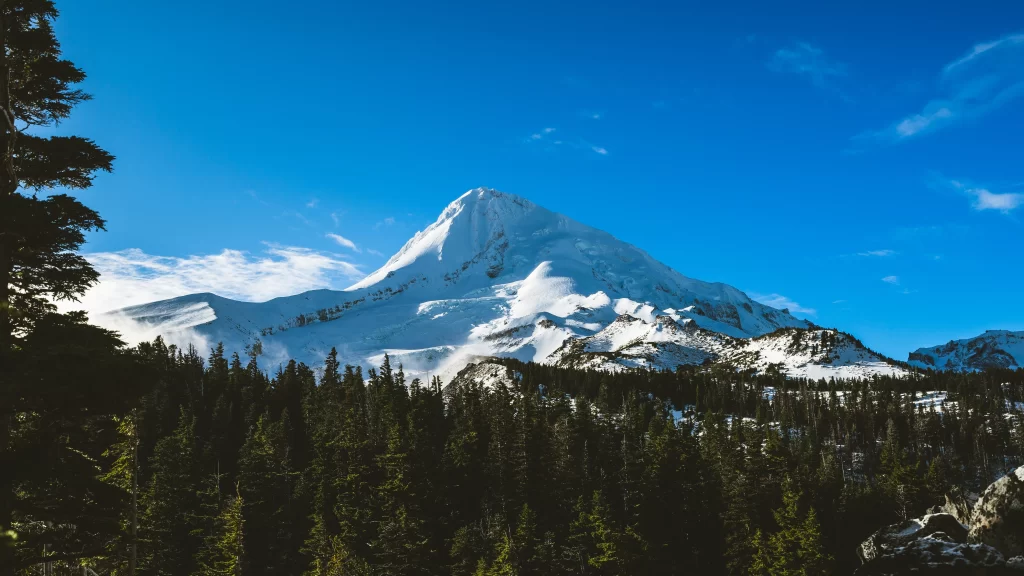 Snowy Mountain Peaks Clear Blue Sky Forest Green Trees