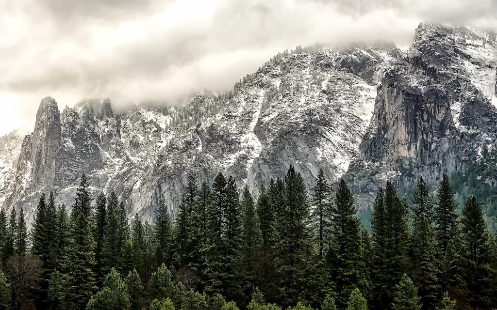 Snowy Mountains Clouds Forest Pine Trees Majestic